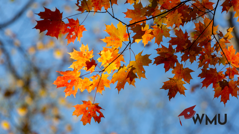 Re-Engage & Reconnect: Winning Back Cold Leads With Fall Social Campaigns