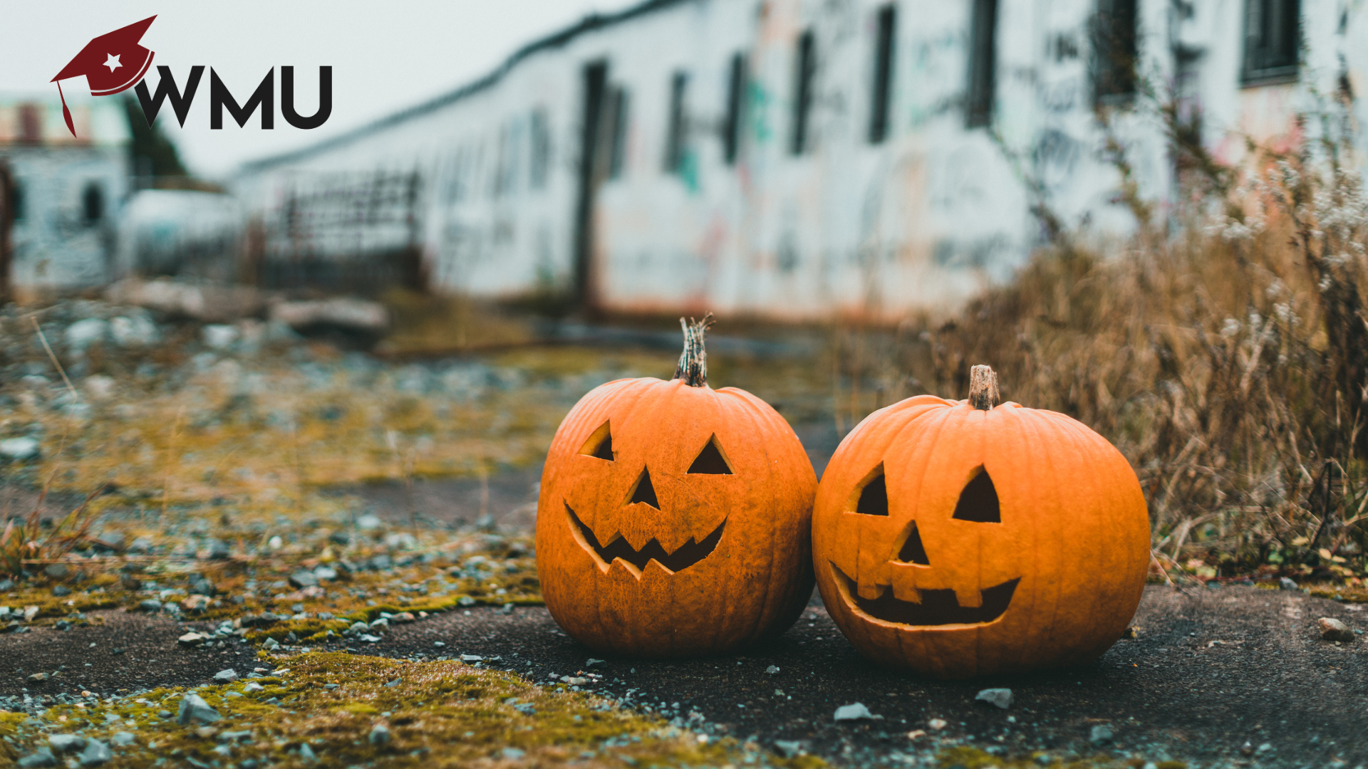 Spooky Marketing Mistakes to Avoid: Don’t Let Your Online Strategy Haunt Your Business This Halloween
